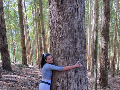Donaë embracing a large tree in a forest